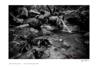Life spring II