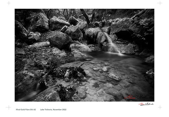Life spring II