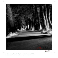 Lake Road