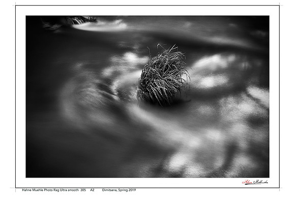 Alone in the current