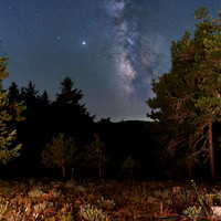 Night Watch III